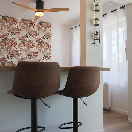 L'escale Cosy, Proche Euroairport Saint-Louis (Haut-Rhin)